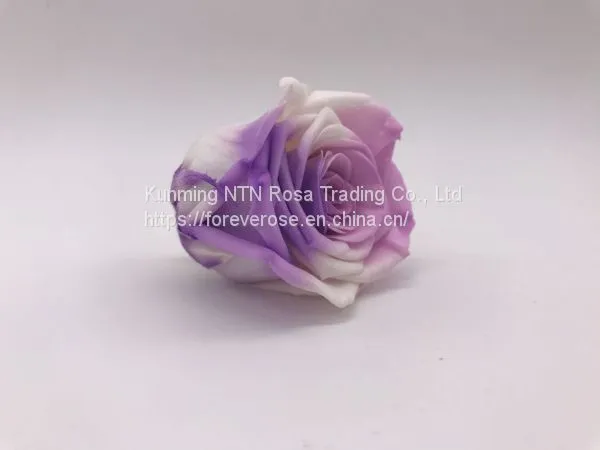 Handmade Immortal Flowers Preserved Flower Rose, Never Withered Roses photo-5
