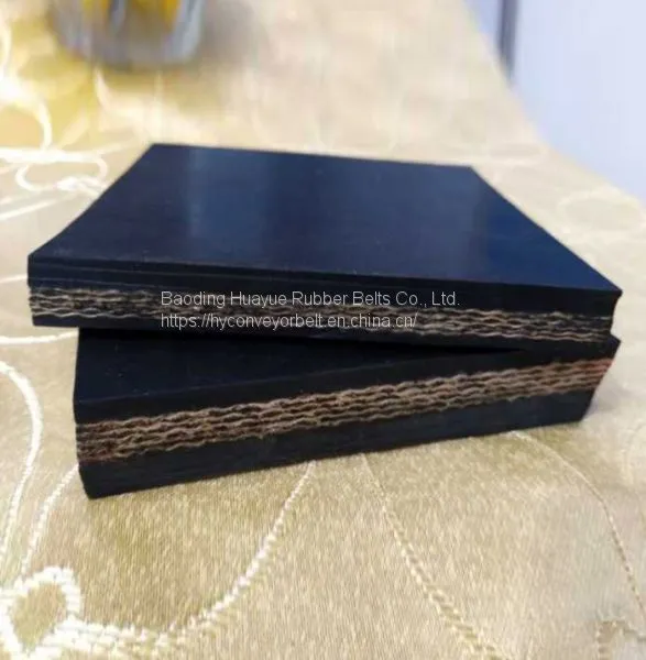 Heat & Acid-alkali Resistant Conveyor Belt photo-2
