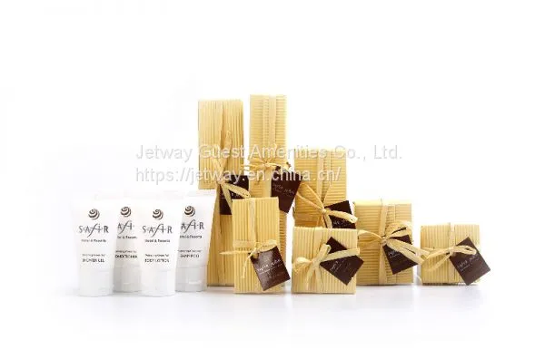 Airline Travel Disposable Hotel Amenities Set JH024