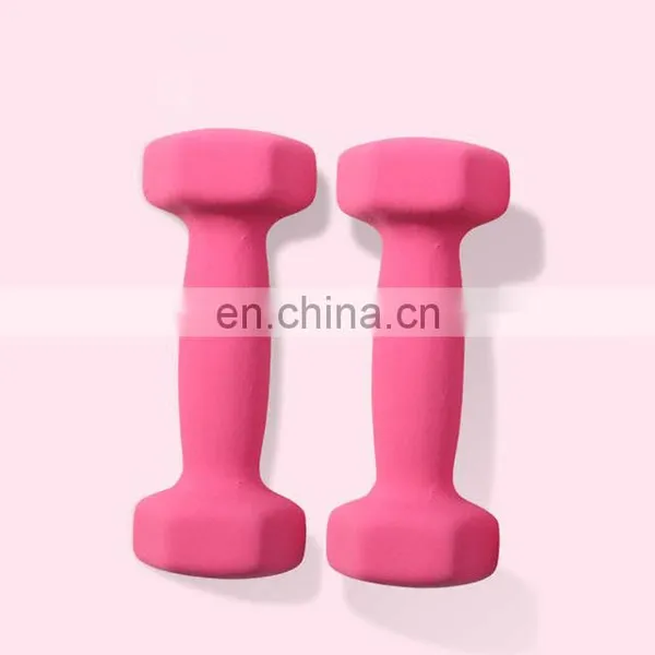 Factory Direct Sales Cheap Dumbbell Sets Gym Weights Dumbbells Dip Plastic photo-6