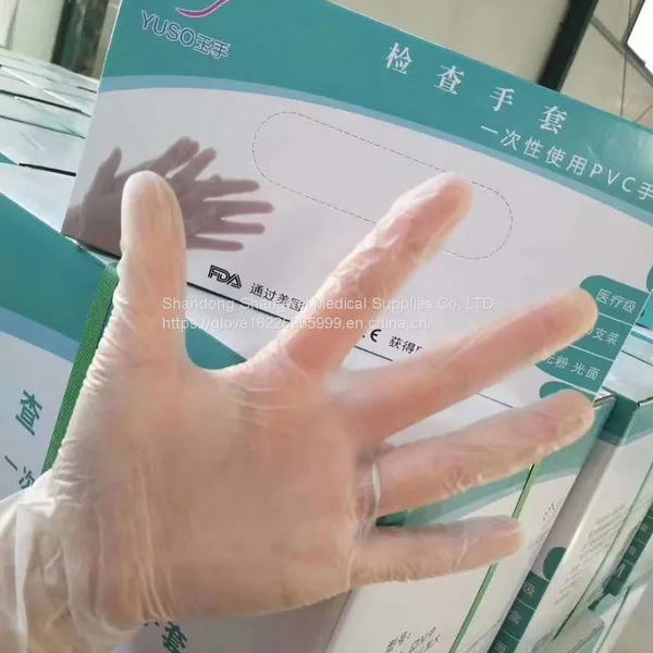 Disposable Vinyl Gloves photo-5