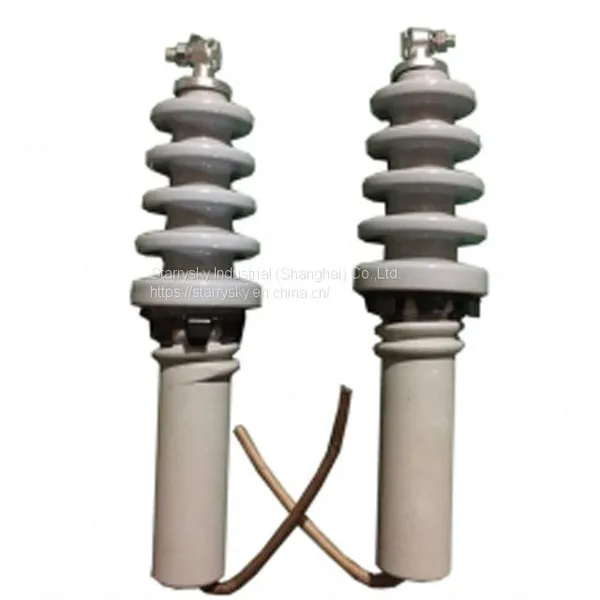 ANSI/IEEE Standard Porcelain Bushings for Transformers American Standard Transformer Bushings photo-3