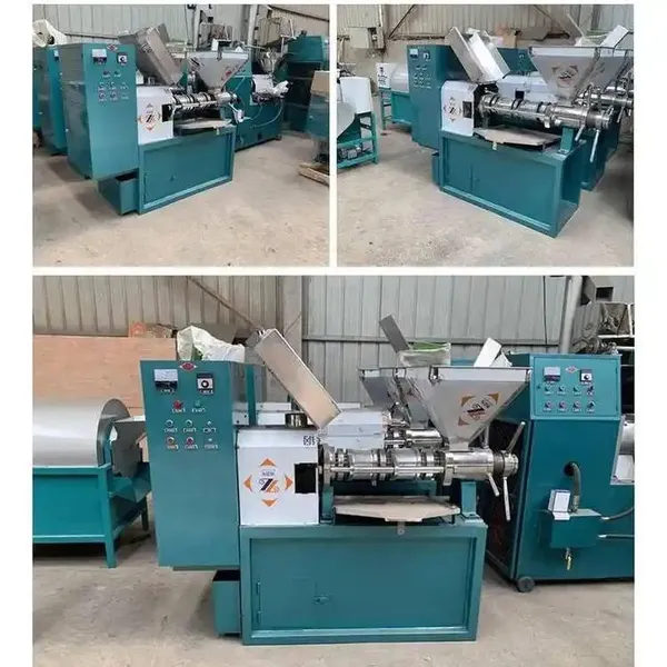 PanQi Automatic Sunflower Sesame Olive Soybean Oil Press Machine photo-6