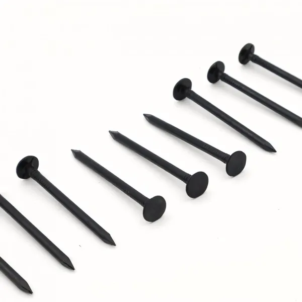 Blacked Common Wire Nails 1-Year Warranty for Long-Term Durability