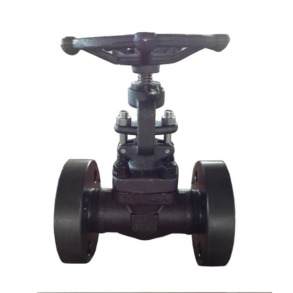 Hot Sell API 602 API 600 Forged Steel Globe Valve China A105 Globe Valve photo-4