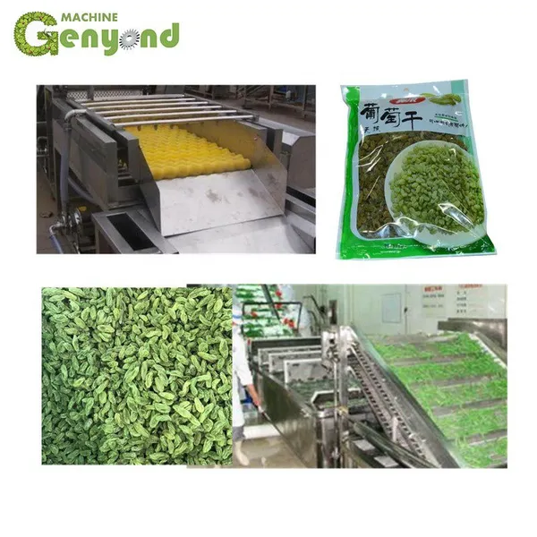 Shanghai Raisin Color Sorting Machine for Raisin Processing photo-2