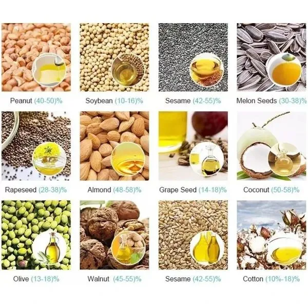 Hydraulic Oil Vegetable Oil Edible Oil Pressing Machine Cold & Hot Pressing Machine photo-6
