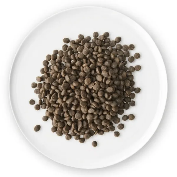 Complete Gestation Dog Food photo-2