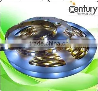 Hot Sale Flexible 12V 24V SMD5050 Led Strip Lights Led Rope Lamp Led Ribbon for Outdoor Indoor Decor