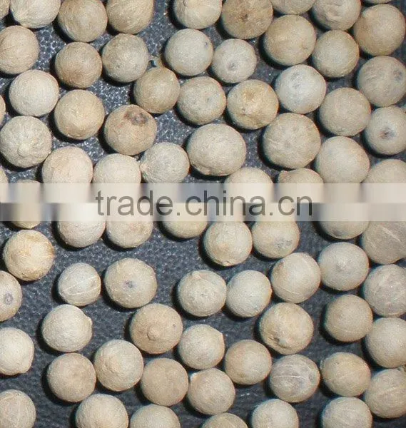 WHITE PEPPER