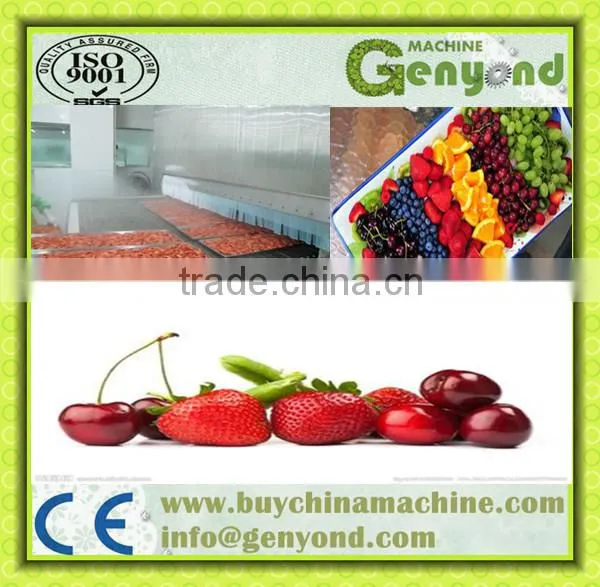 Seafood Tunnel Quick Frozen Liquid Nitrogen Equipment