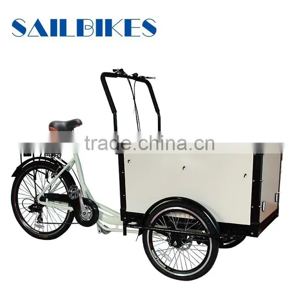 Cargo Tricycle/three Wheel Motorcycle photo-5