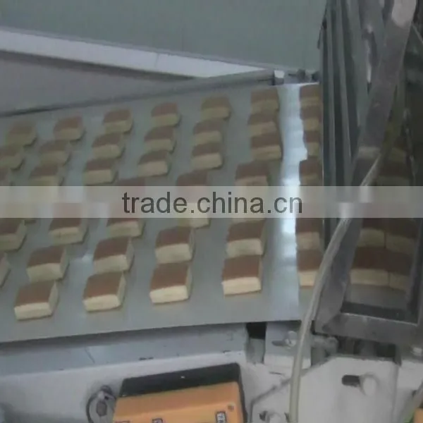 Full Automatic Layer Cake Product Line photo-4