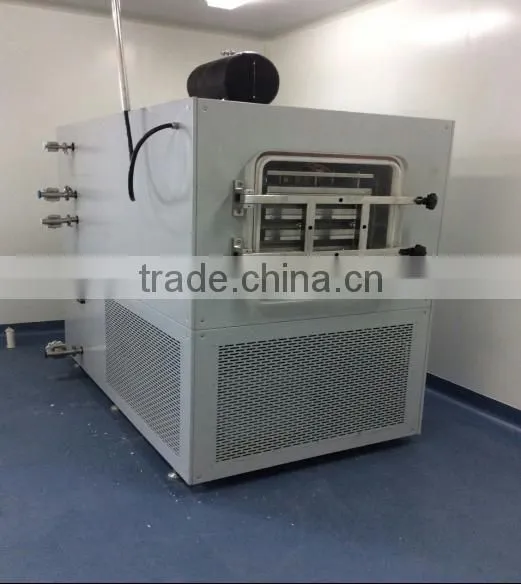 30-40kg Freeze Dryer/vaccum Vacuum Freeze Dryer for Fruits &vegetables Drying Equipment photo-2