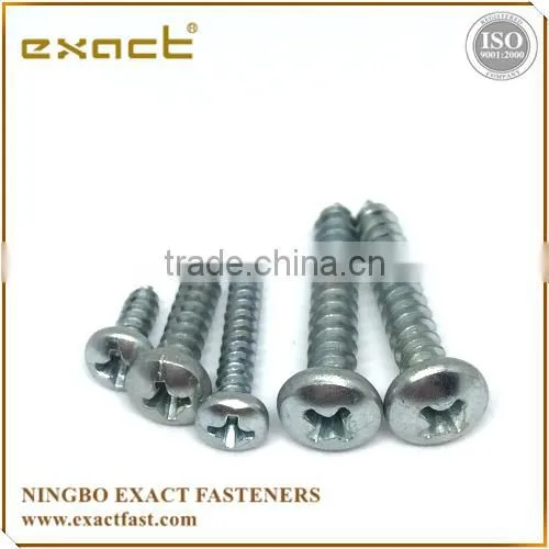 Philips Pan Head Self Tapping Screw Tapping Screw Screw Din7981 photo-4