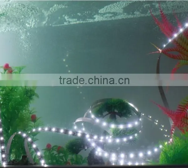 2835 Nano Waterproof Smd Flexible Led Strip photo-6