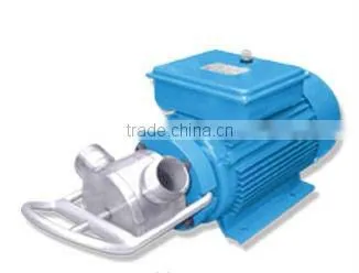 Garden Sewage Pump