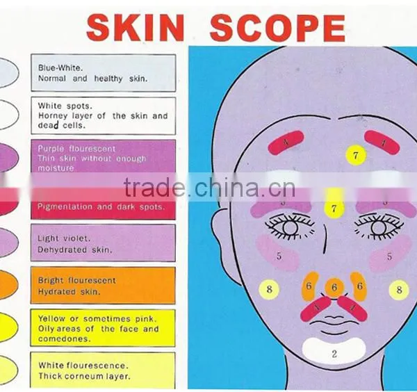 10 Mega Pixels Beauty Hair and Skin Analysis System With Analysis Report Ts-1 photo-6