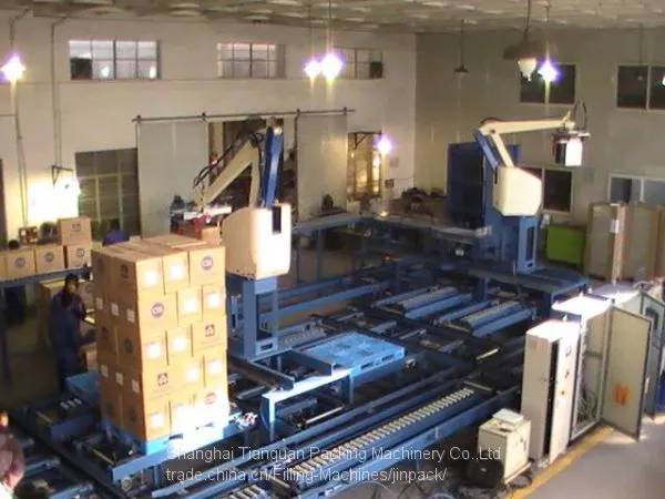 Robot Palletizing Machine photo-2