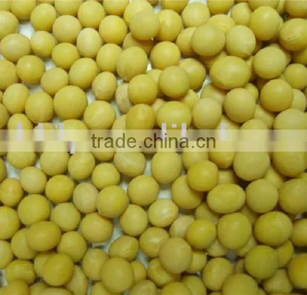 Organic Soybean