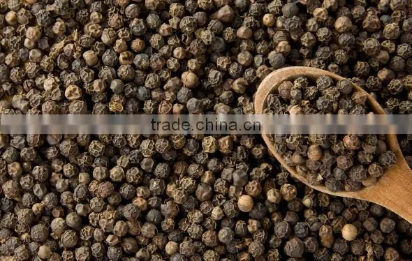 VINAPRO BLACK PEPPER CLEANED 500 G/L; 550 G/L; 570 G/L photo-5
