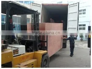 2015 KIMO Newest Medium-speed Automatic Paper Tea Cup Machine For China photo-6