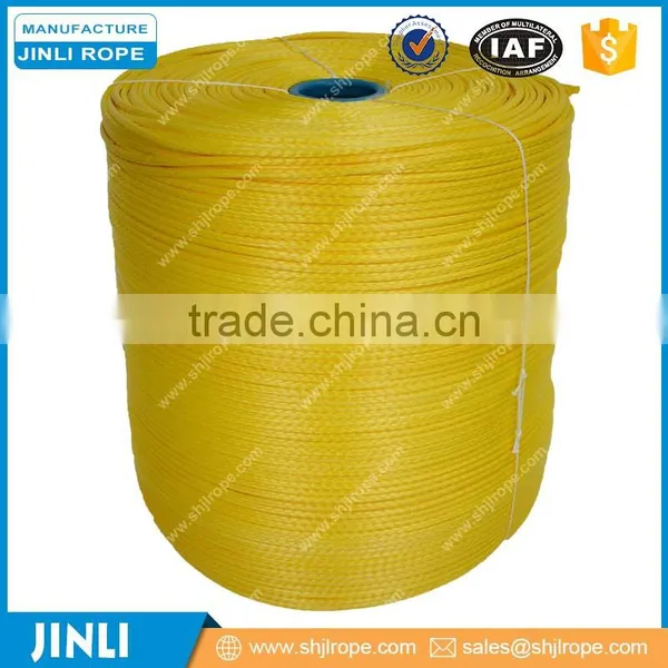 JINLI Dual Line Sports Kite Stunt Sports Kite for Advertisement