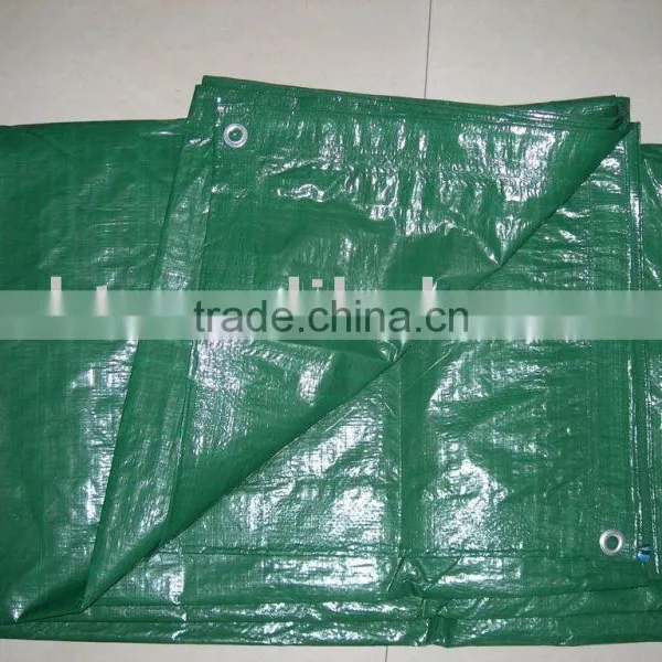 PE Tarpaulin