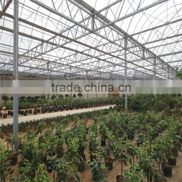 High Quanlity Green House for Vegetables photo-2