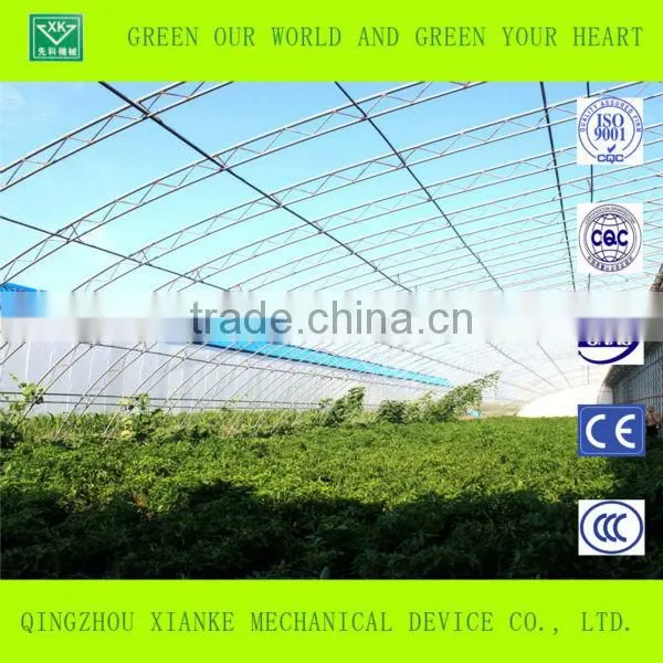 Hot Sale Agricultural Muiti Span Greenhouse photo-2