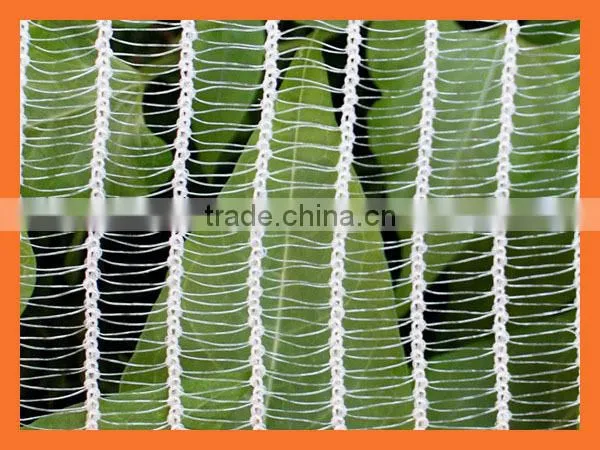50gsm Apple Tree Anti Hail Net photo-2