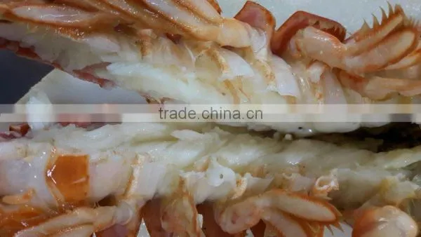 Frozen Cooked /frozen Raw Canadian Lobster photo-4