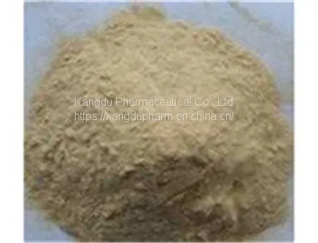 Sophora Root Extract,Sophora Root Extract Factory,Sophora Root Extract Supplier