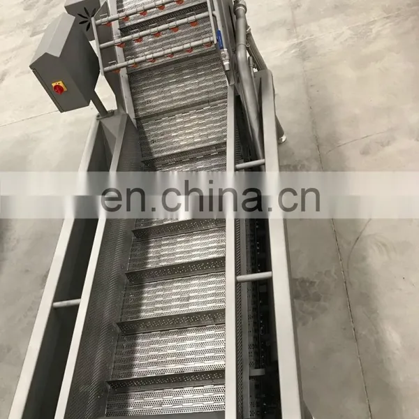 Technology Bubble Fruit Washing and Sorting Machine photo-3