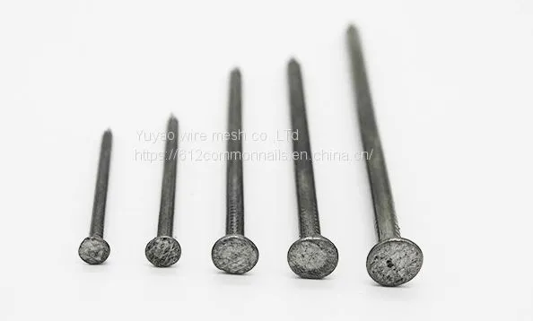 Common Nail/ Iron Nail/ Wire Nails photo-3