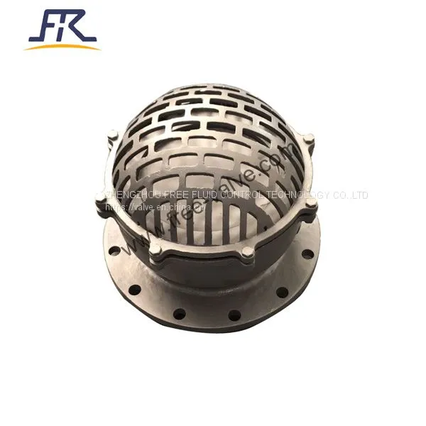 Screw Thread End Stainless Steel Foot Valve photo-2