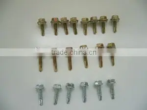 Self Tapping Screw Self Drilling Screw photo-3