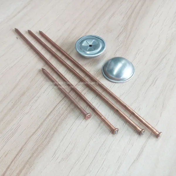Capacitor Pins