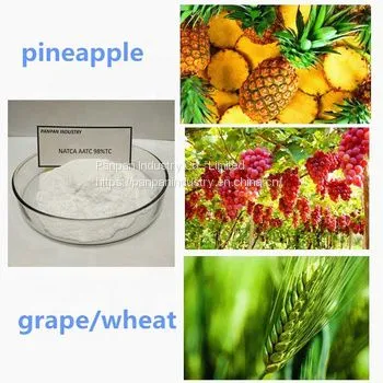 Factory Supply Agricultural Grade Foliar Fertilizer Natca 98%tc Powder Natca for Fruit Setting photo-3