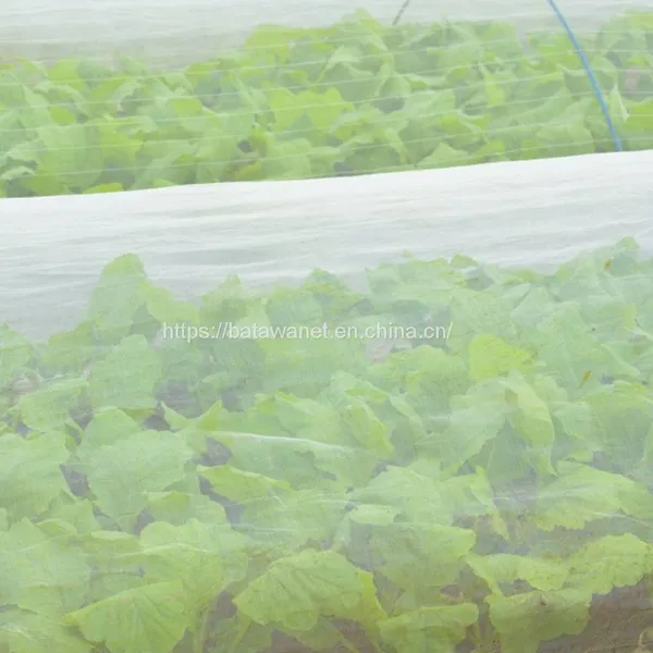 Hdpe Agricultural Plastic Mesh Fruit and Vegetable Insect Net Vegetable Farm Insect photo-4