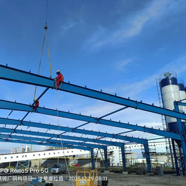 New Steel Structure Project Large Span Steel Structure Building Brickyard Workshop