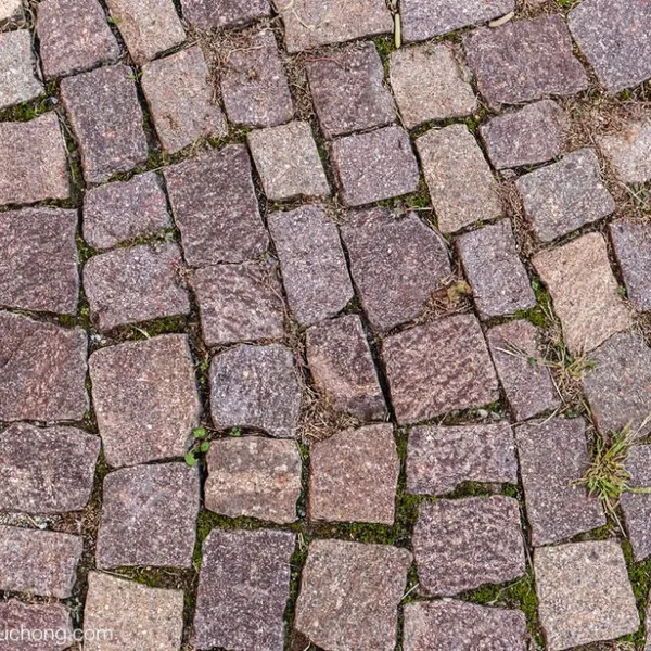 Paving Stone photo-2