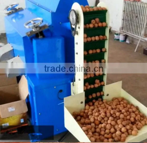 Latest Walnut Dehulling Cracking Shelling Machine photo-4