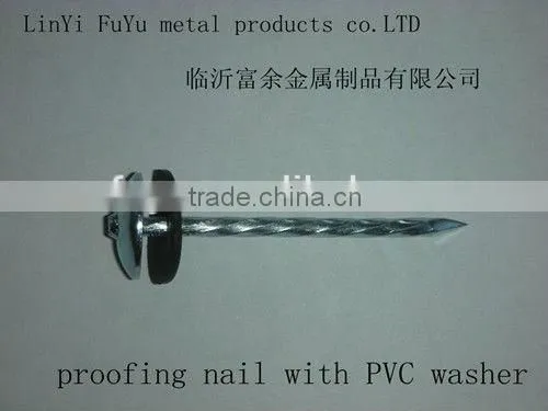 Twisted Umbrella Head Roofing Nail Factory photo-2