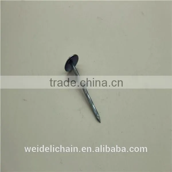 BWG9X3" UMBRELLA ROOFING NAILS photo-3