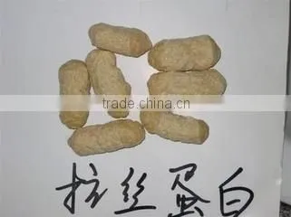 High Quality Textured Soy Protein Food Extruder Machine photo-5