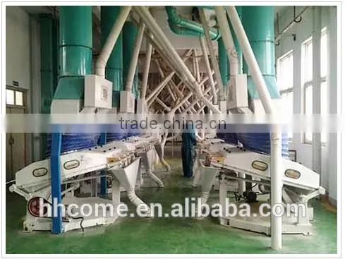30TPD to 1000TPD Yellow Corn Maize Flour Mill Machine photo-4