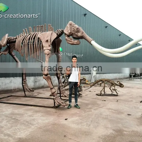 Fiberglass Animal Skeleton Model of Mammoth photo-2