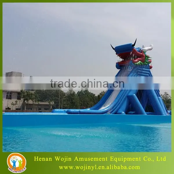 Giant Inflatable Water Slide for Adult photo-3