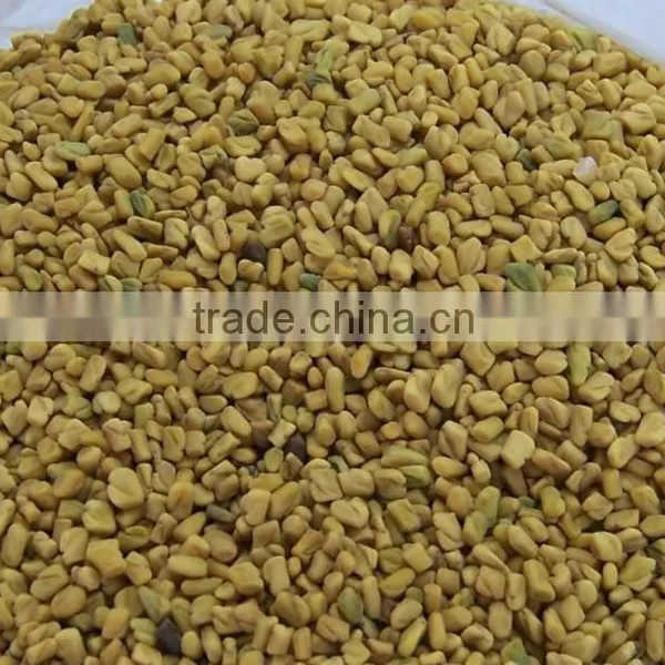 Fenugreek Extract/4-Hydroxyisoleucine photo-2